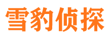 崇信市私家侦探